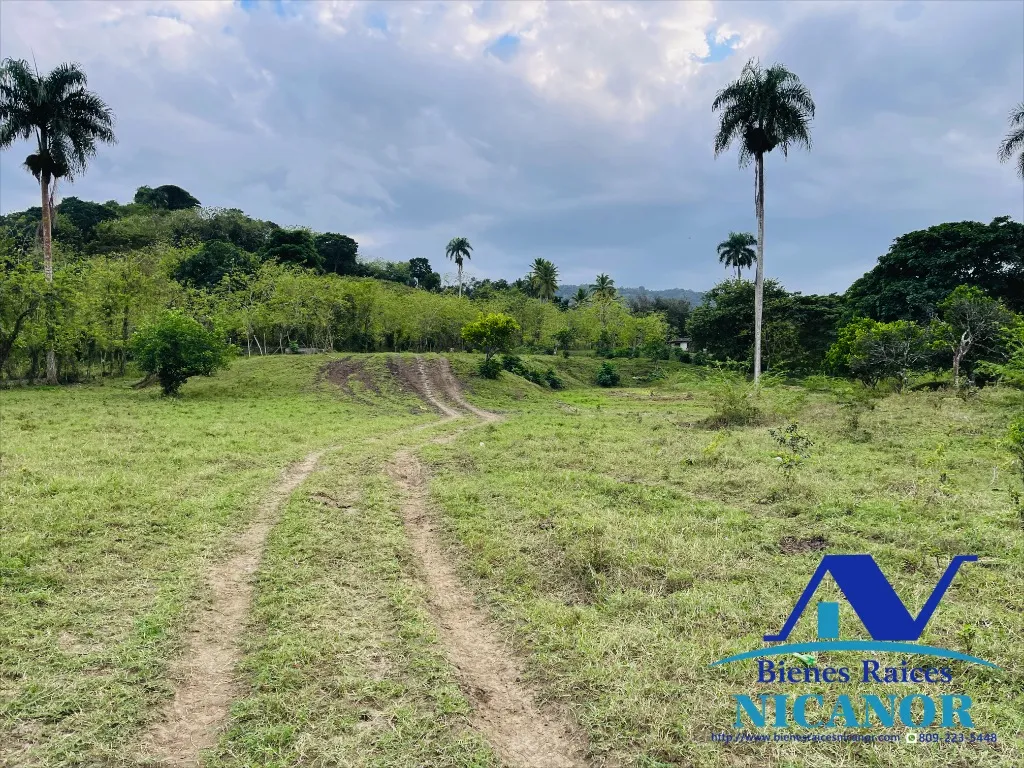 Finca ganadera de 5,200 tareas en venta - 11