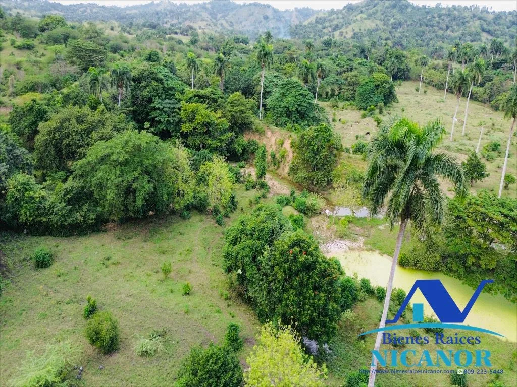 Finca ganadera de 5,200 tareas en venta - 20