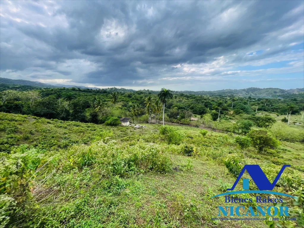 Finca ganadera de 5,200 tareas en venta - 6