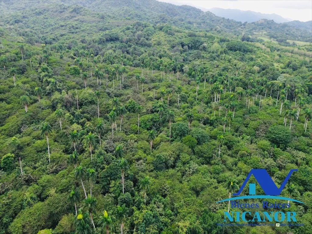 Finca ganadera de 5,200 tareas en venta - 18