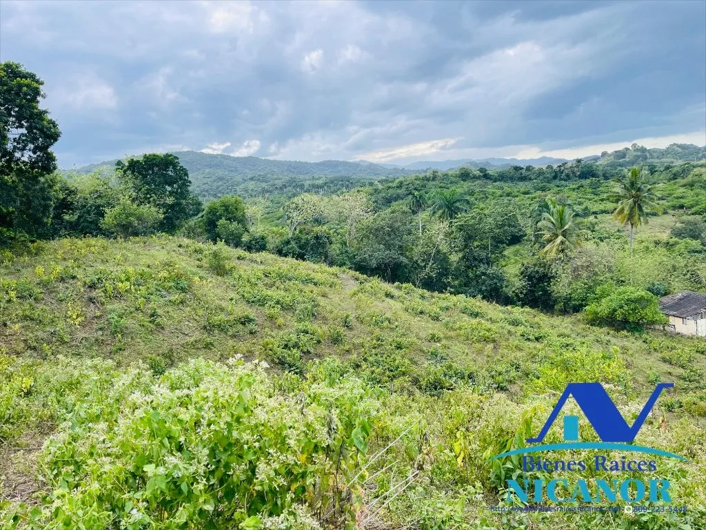 Finca ganadera de 5,200 tareas en venta - 4