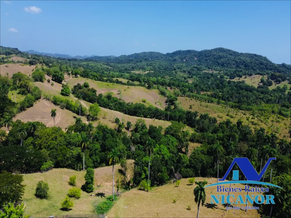 Finca ganadera en venta de 846  tareas en Guananico - 4