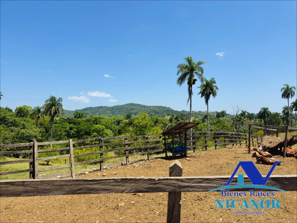 Finca ganadera en venta de 846  tareas en Guananico - 18