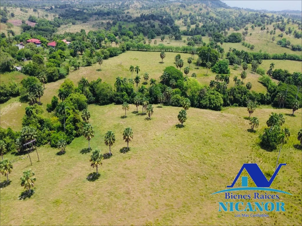Finca de 1,010 tareas en venta - 10