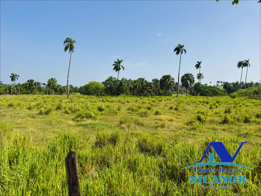 Finca de 1,010 tareas en venta - 16