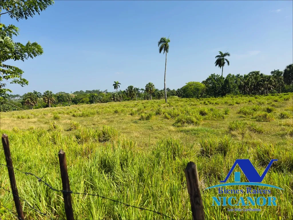 Finca de 1,010 tareas en venta - 15