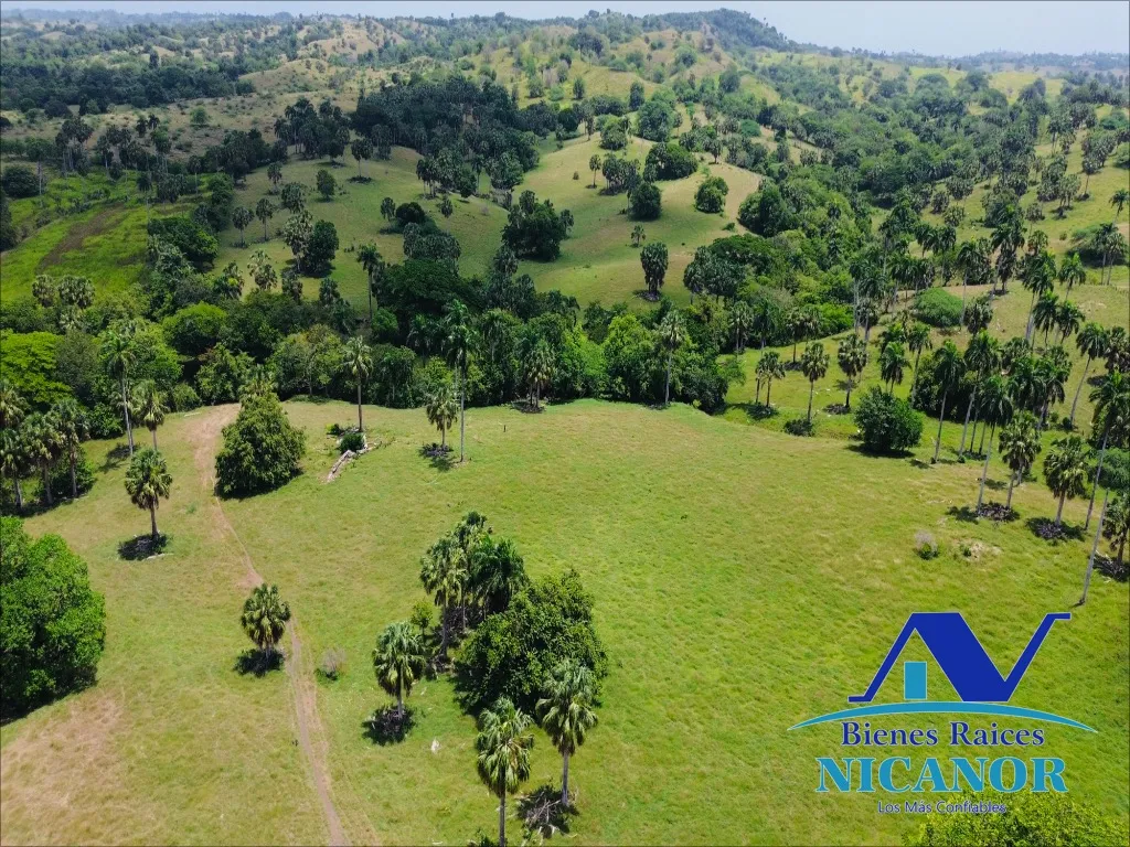 Finca de 1,010 tareas en venta - 4