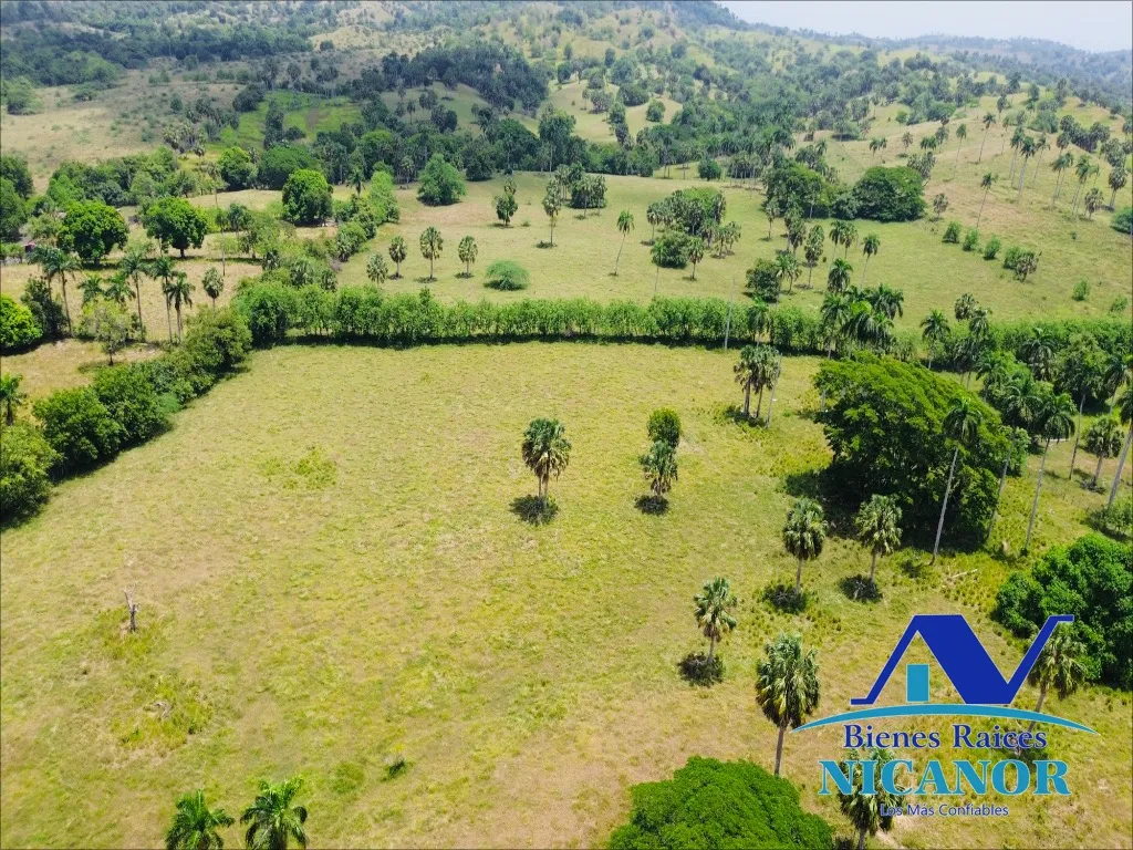 Finca de 1,010 tareas en venta - 12