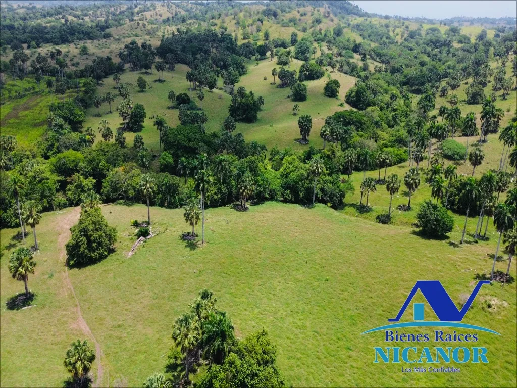Finca de 1,010 tareas en venta - 3