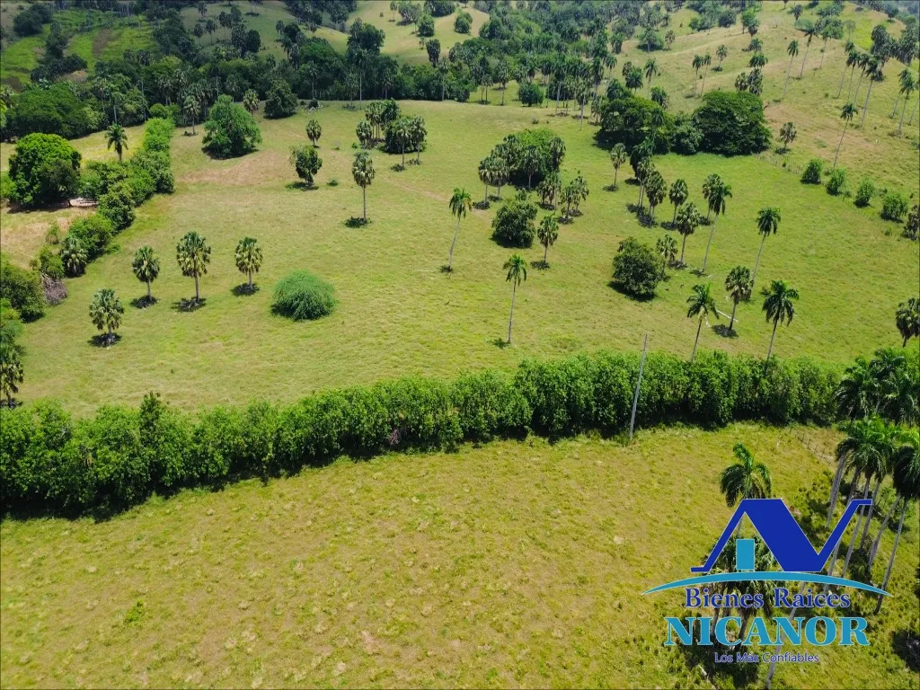 Finca de 1,010 tareas en venta - 13