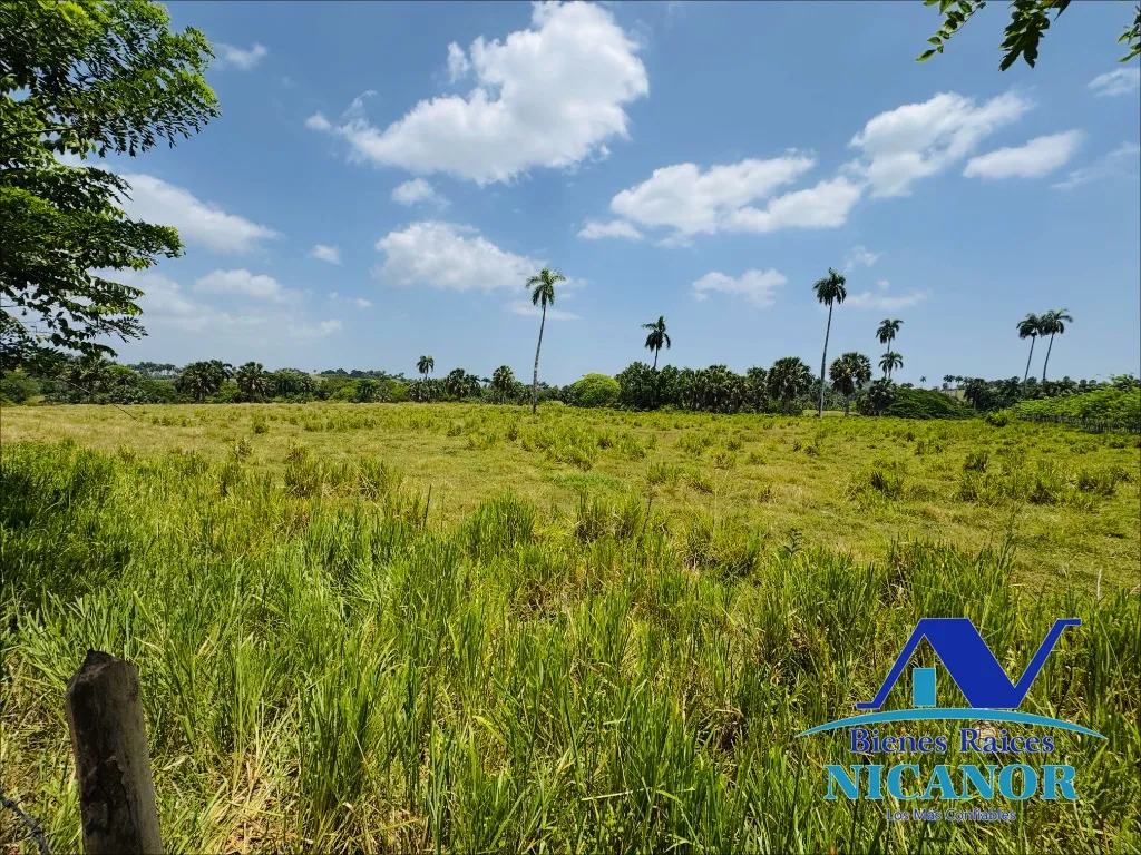 Finca de 1,010 tareas en venta - 20