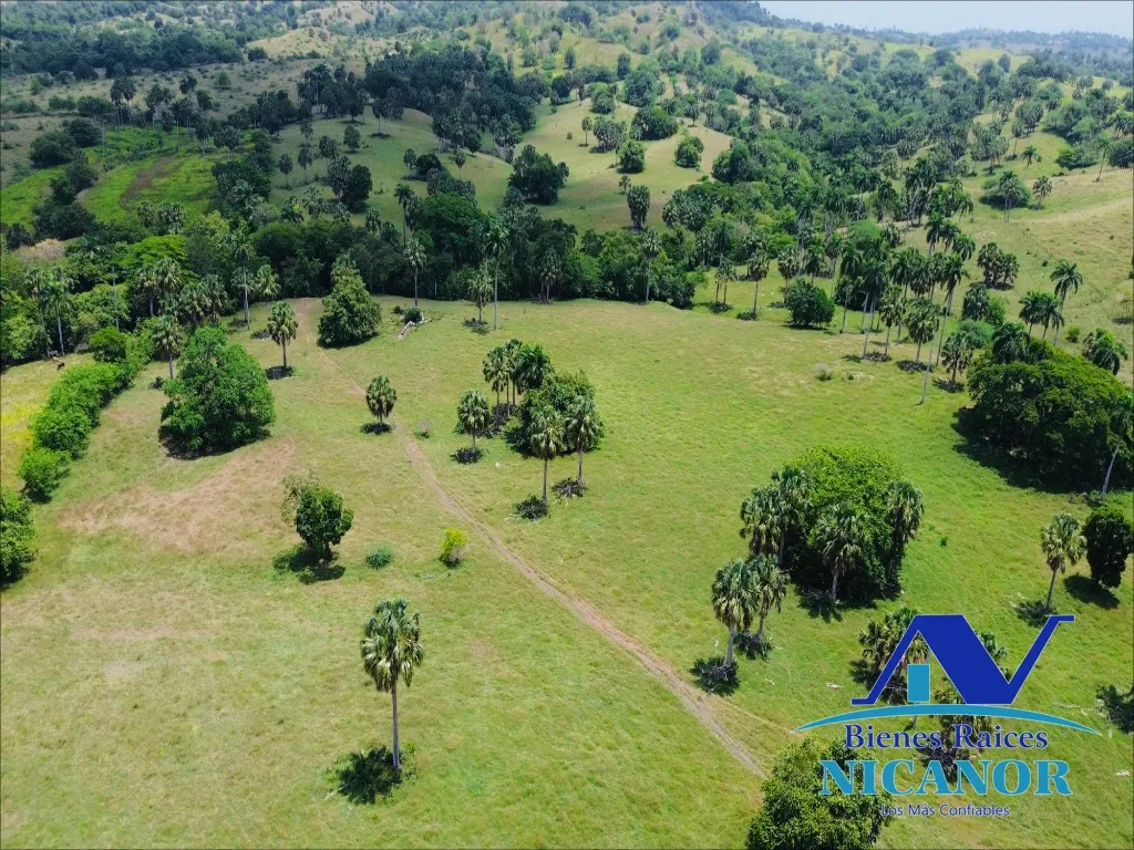 Finca de 1,010 tareas en venta - 5