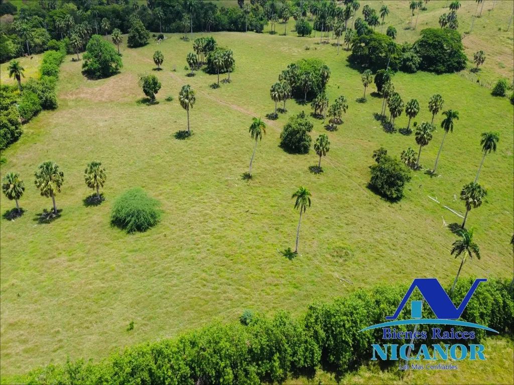 Finca de 1,010 tareas en venta - 7