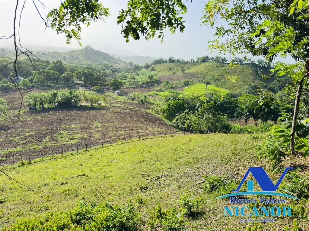 Finca de 278 tareas en venta - 7