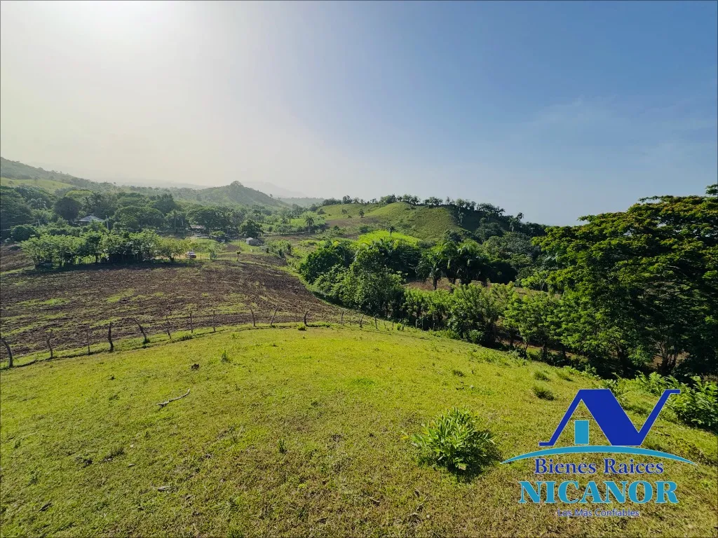 Finca de 278 tareas en venta - 8