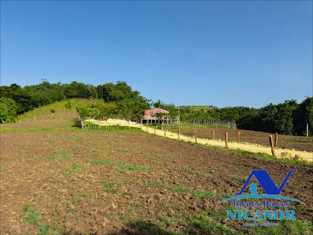 Finca de 278 tareas en venta - 12