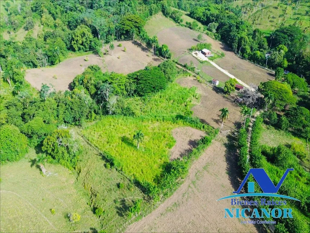Finca de 278 tareas en venta - 2