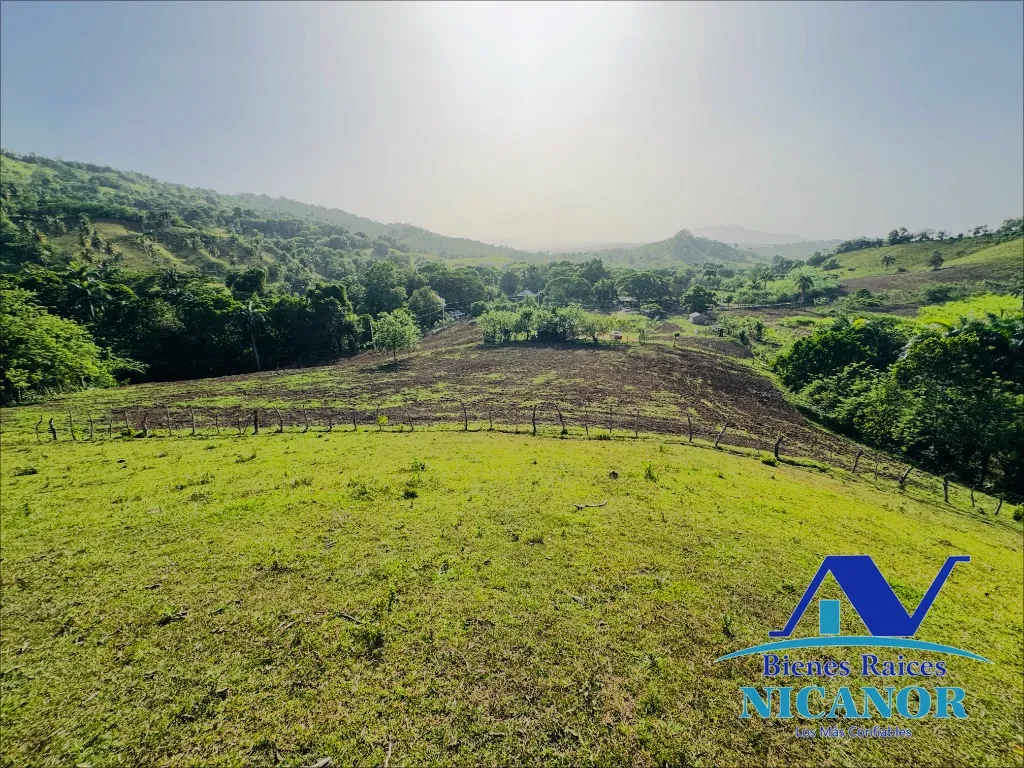 Finca de 278 tareas en venta - 10