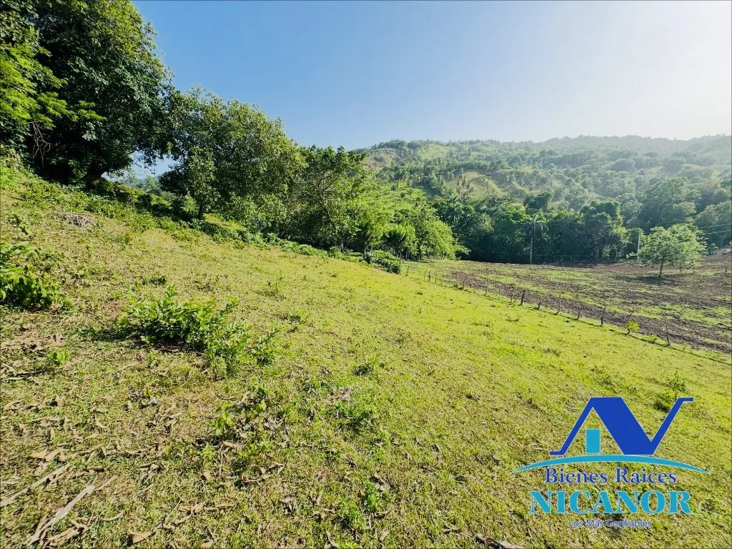Finca de 278 tareas en venta - 9