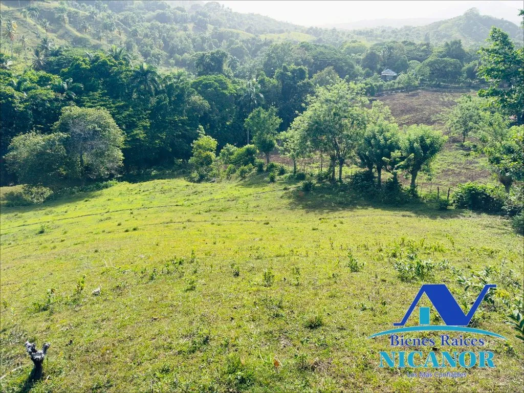 Finca de 278 tareas en venta - 5