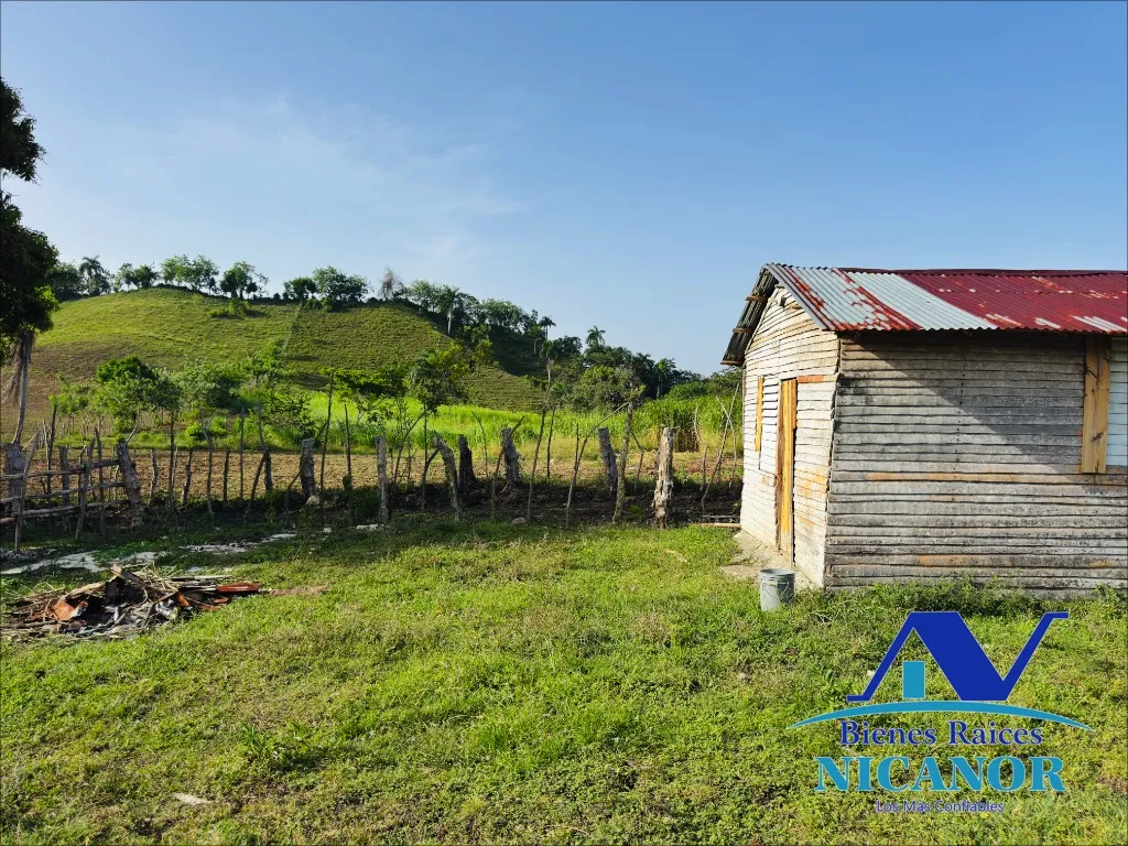Finca de 278 tareas en venta - 14