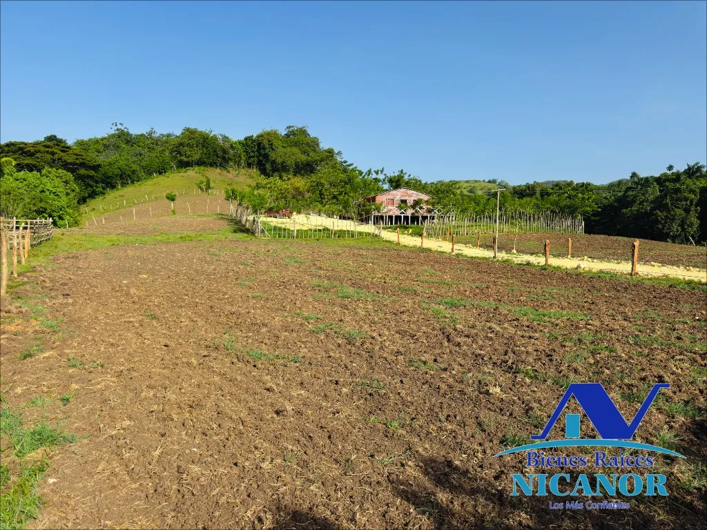 Finca de 278 tareas en venta - 15