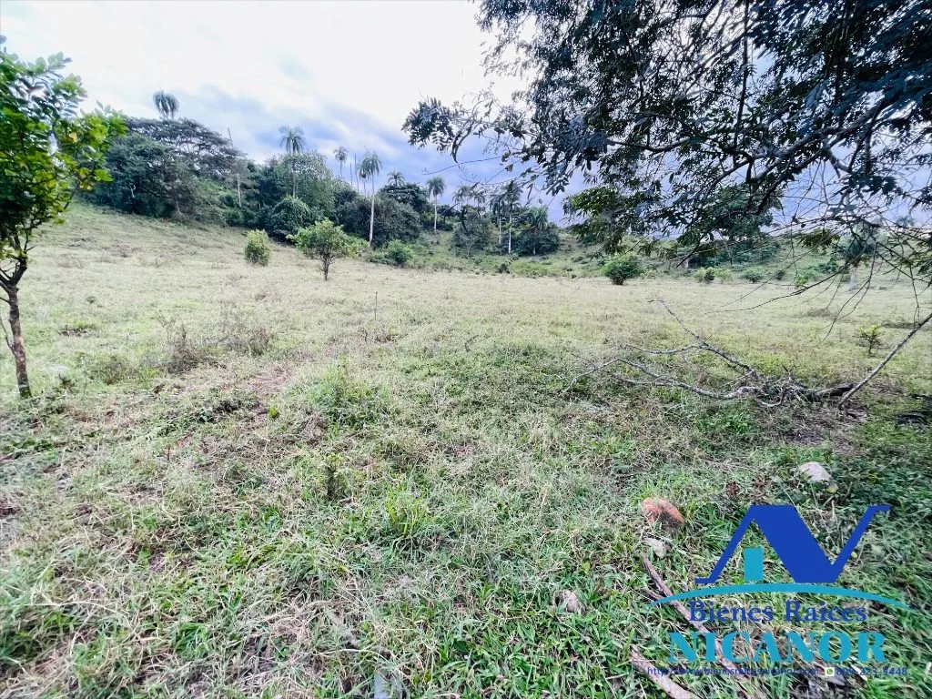 Finca de 2,300 tareas en venta - 9