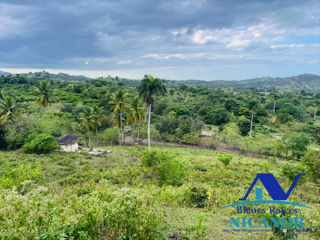 Finca de 2,300 tareas en venta - 11