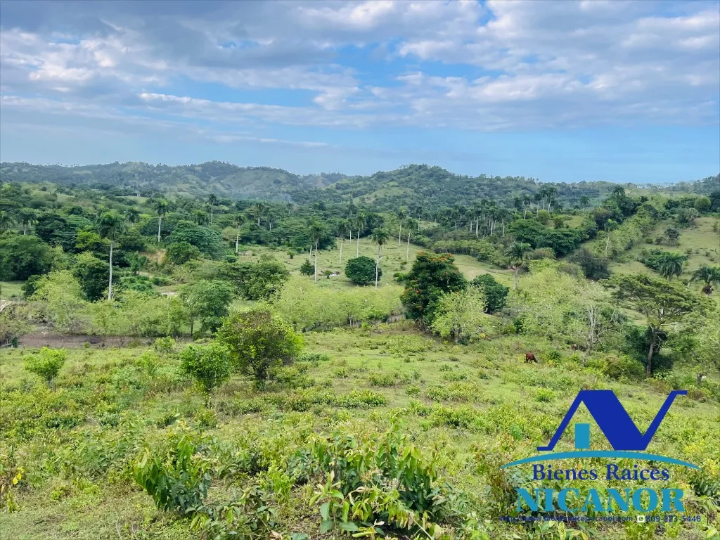 Finca de 2,300 tareas en venta - 4
