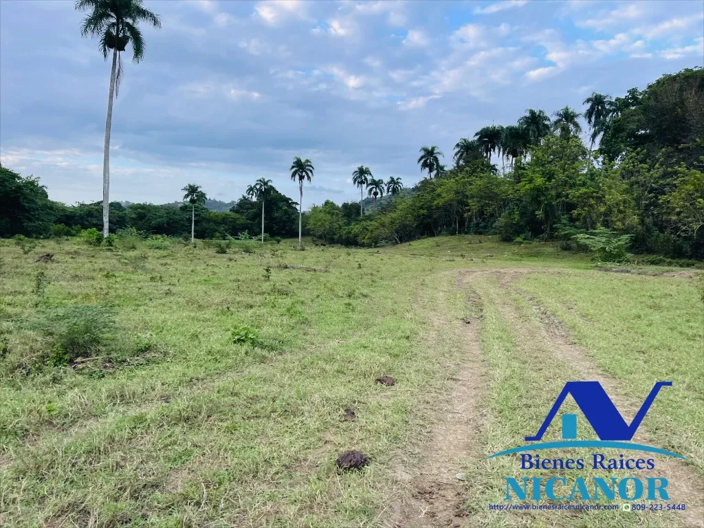 Finca de 2,300 tareas en venta - 10