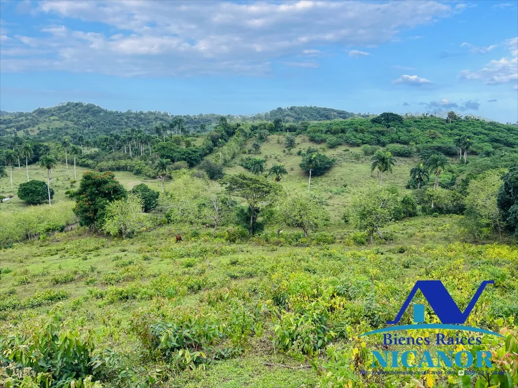 Finca de 2,300 tareas en venta - 2