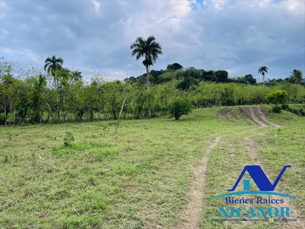 Finca de 2,300 tareas en venta - 5