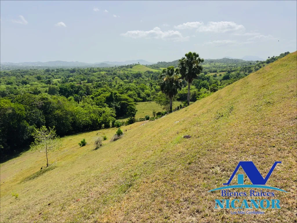 Finca de 825 tareas en ventas - 6