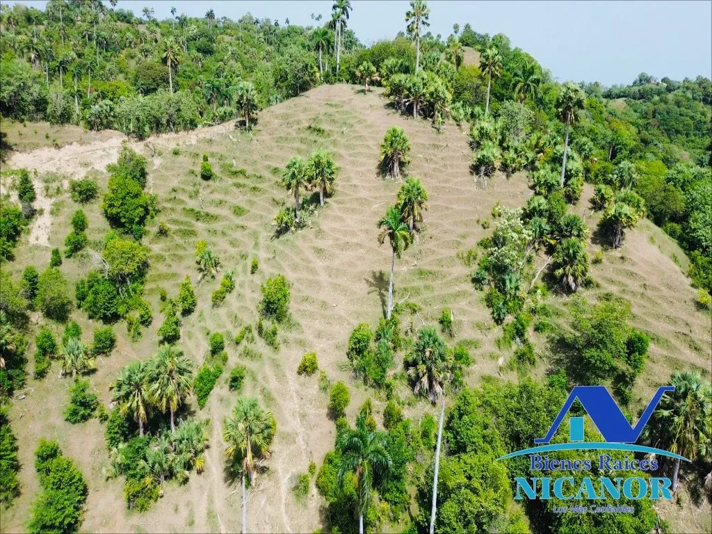 Finca de 825 tareas en ventas - 8