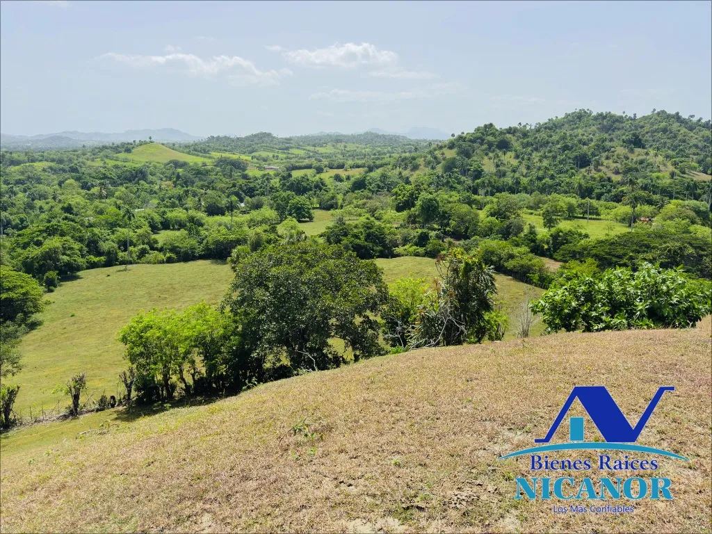 Finca de 825 tareas en ventas - 5