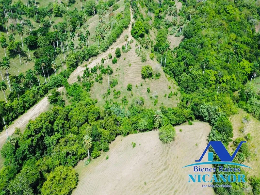 Finca de 825 tareas en ventas - 11