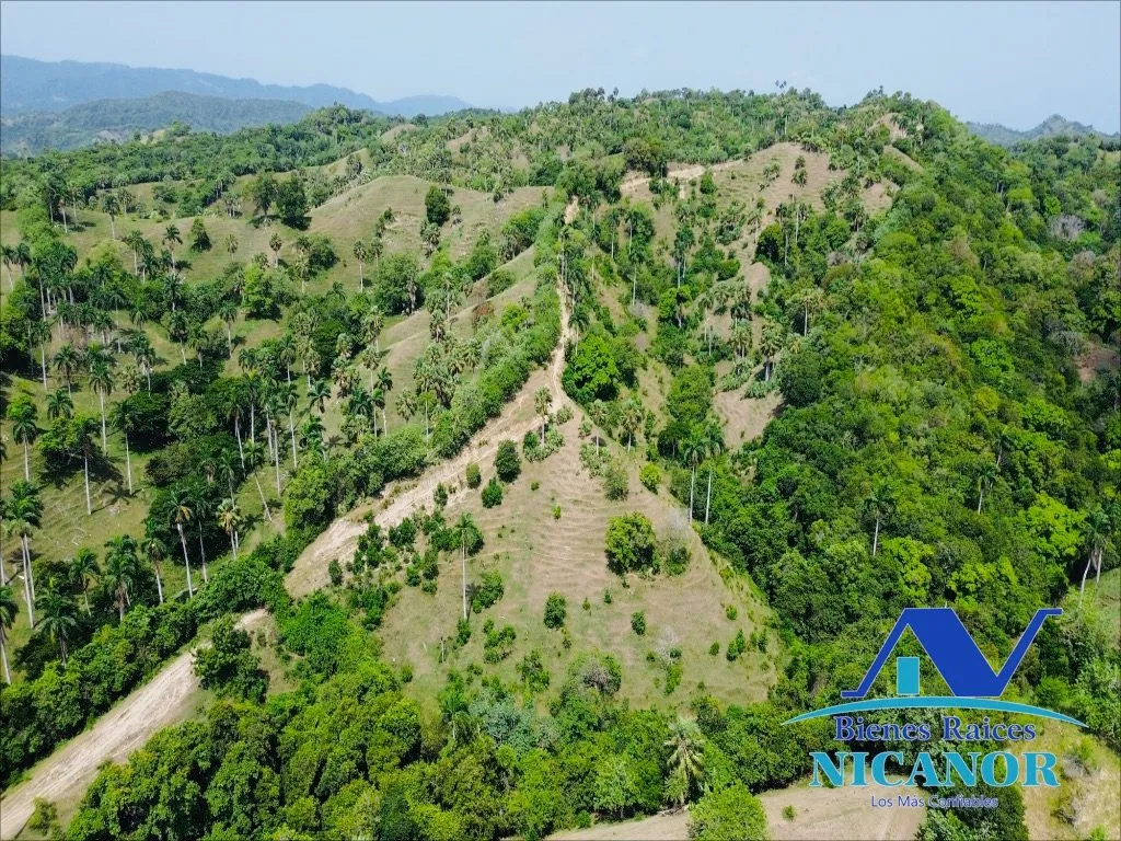 Finca de 825 tareas en ventas - 10