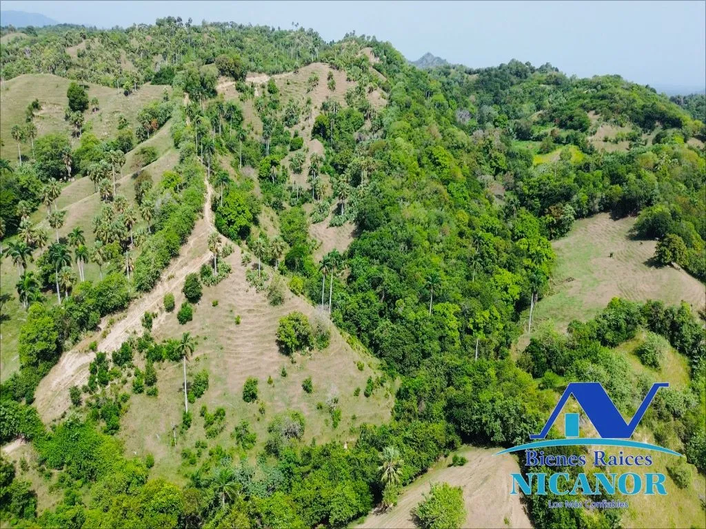 Finca de 825 tareas en ventas - 9