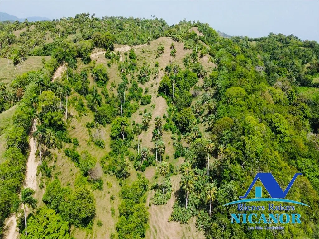 Finca de 825 tareas en ventas - 14