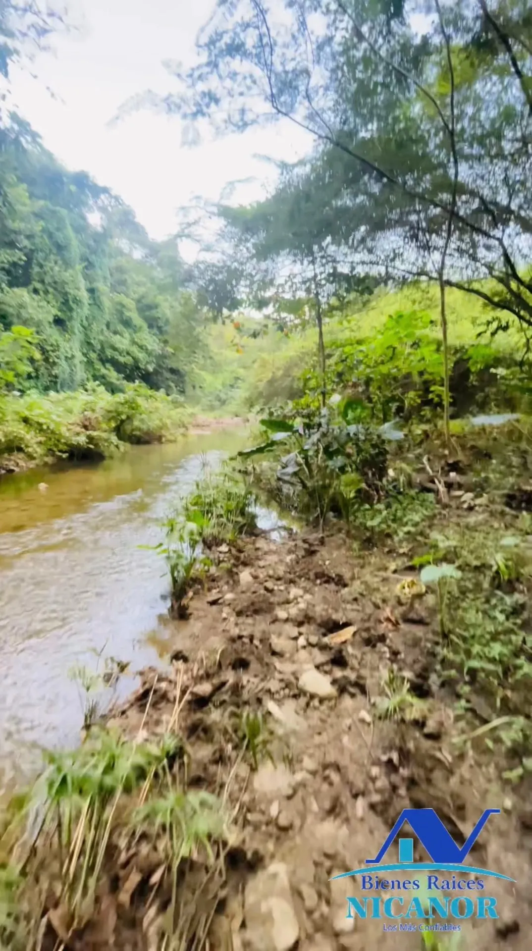 Finca de 1,150 tareas en venta en Guananico - 14