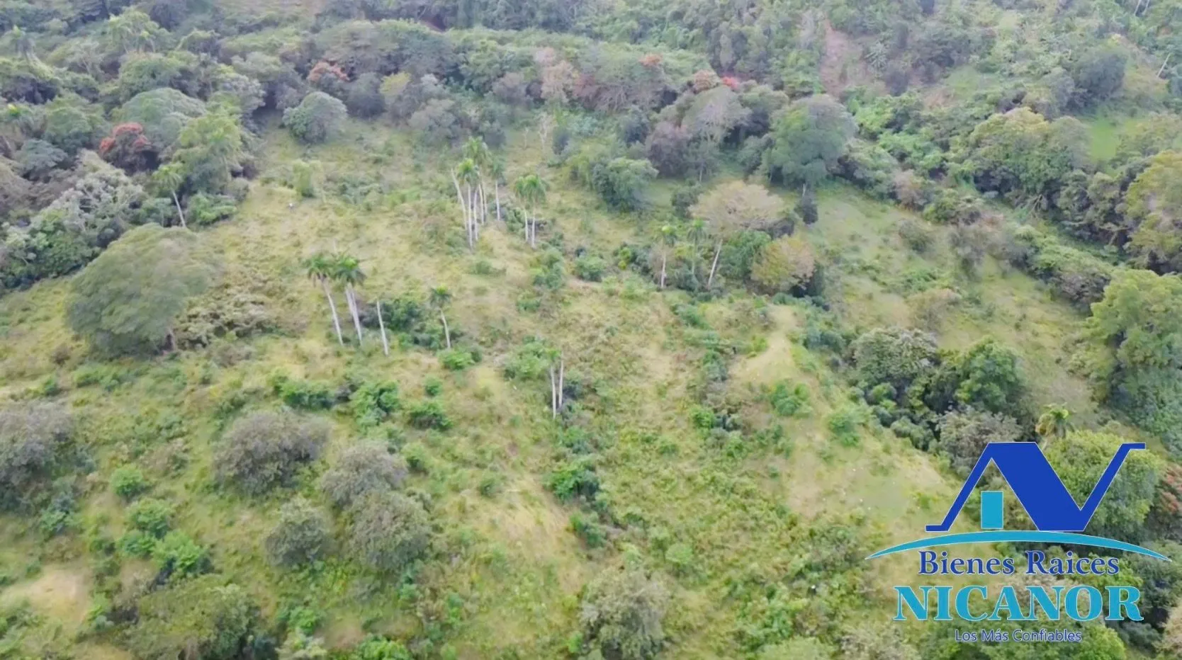 Finca de 1,150 tareas en venta en Guananico - 11