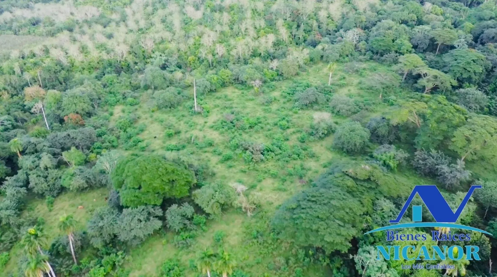 Finca de 1,150 tareas en venta en Guananico - 8