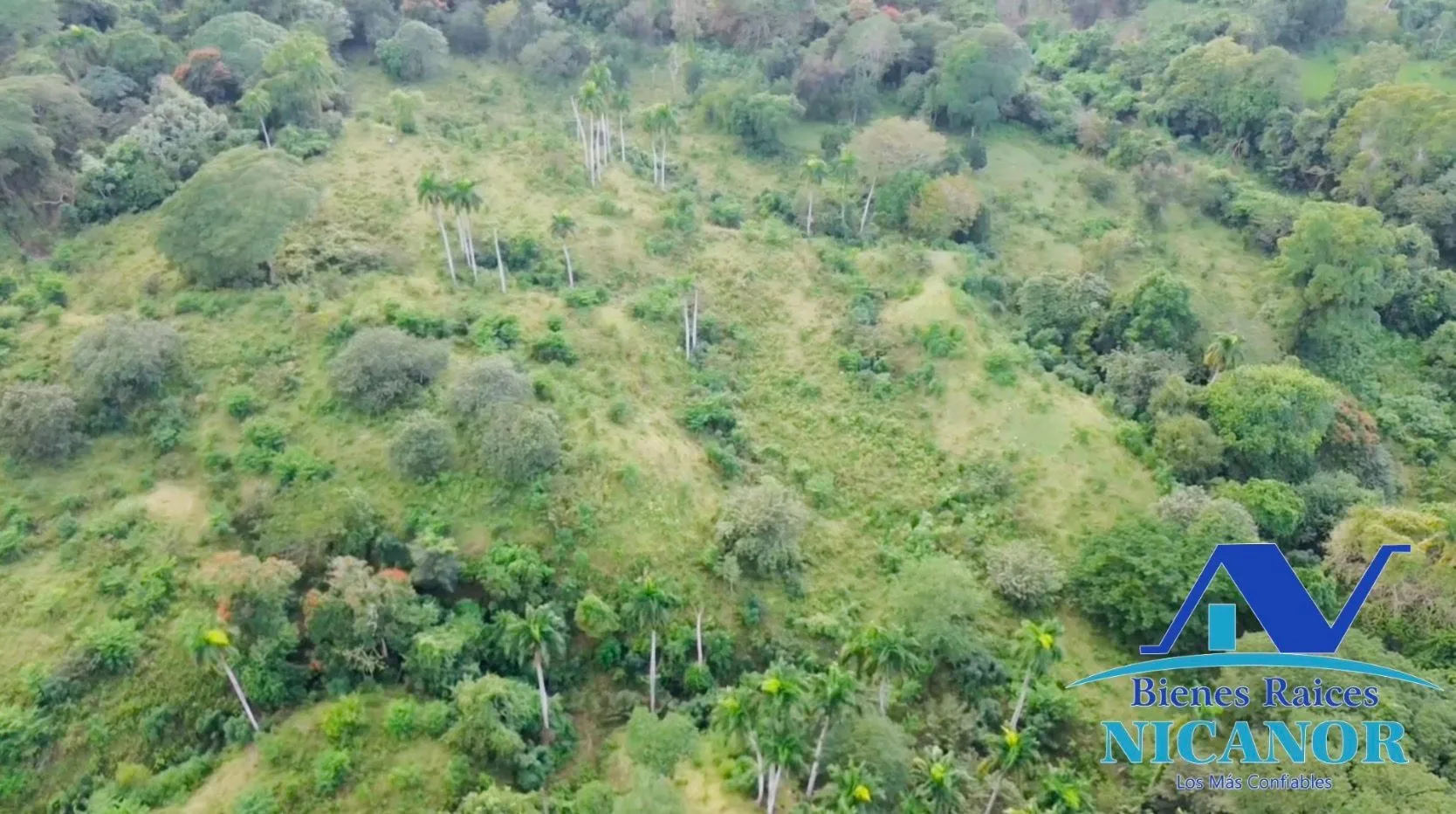 Finca de 1,150 tareas en venta en Guananico - 10