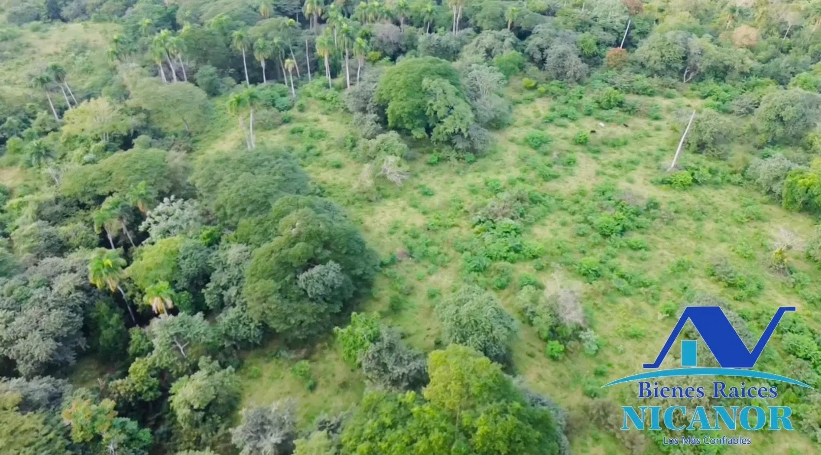 Finca de 1,150 tareas en venta en Guananico - 9