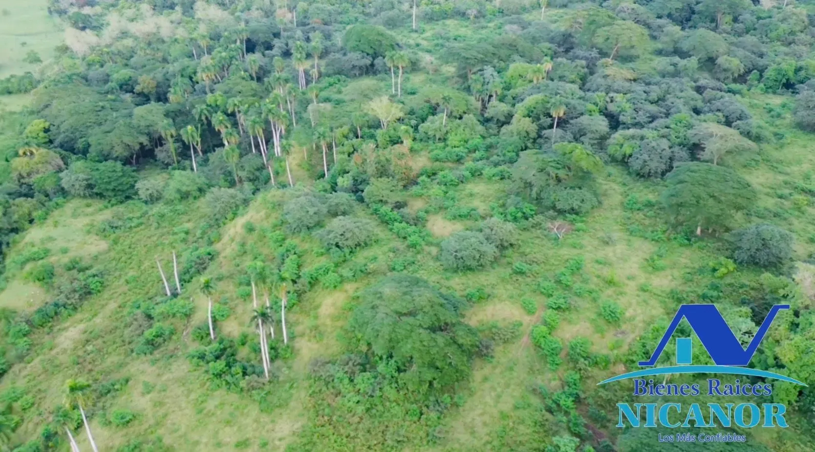 Finca de 1,150 tareas en venta en Guananico - 7
