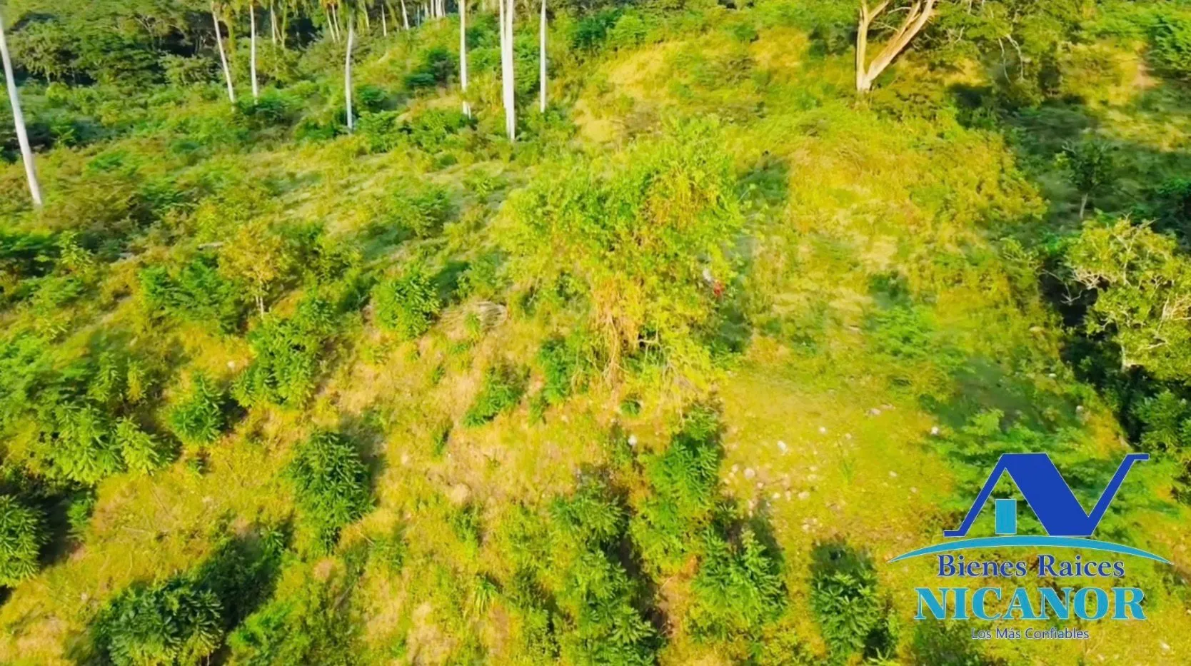 Finca de 1,150 tareas en venta en Guananico - 2