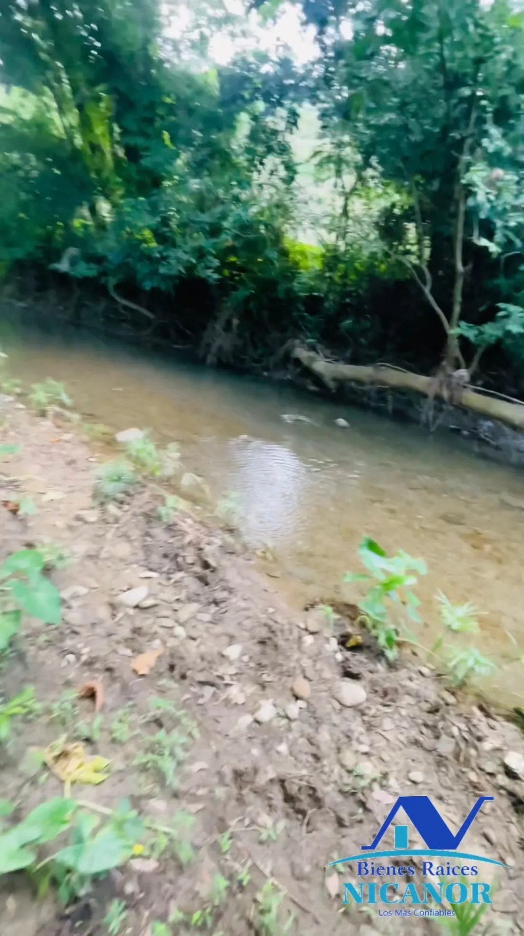 Finca de 1,150 tareas en venta en Guananico - 16