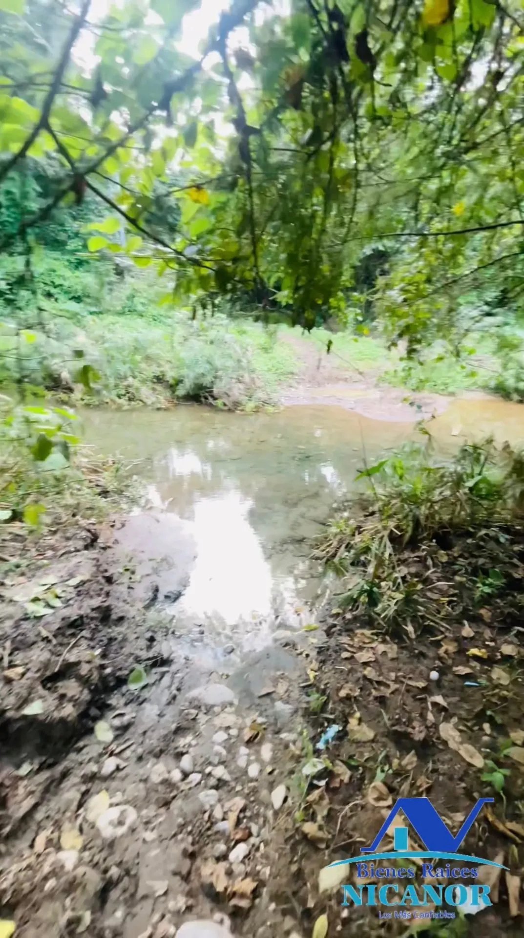 Finca de 1,150 tareas en venta en Guananico - 13