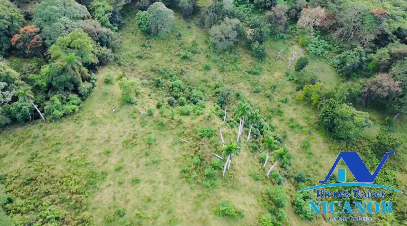 Finca de 1,150 tareas en venta en Guananico - 12