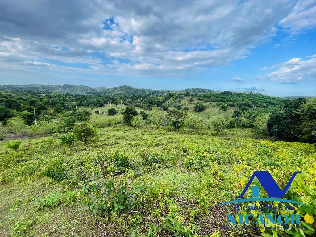 Finca de 5,200 tareas en vetas - 17